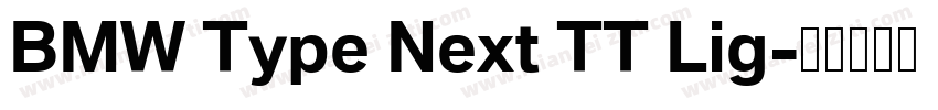 BMW Type Next TT Lig字体转换